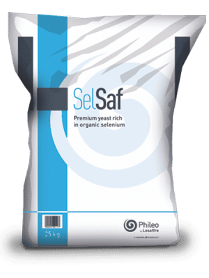 Selênio Selsaf 3000® - Levedura solenizada para manejo do estresse oxidativo
