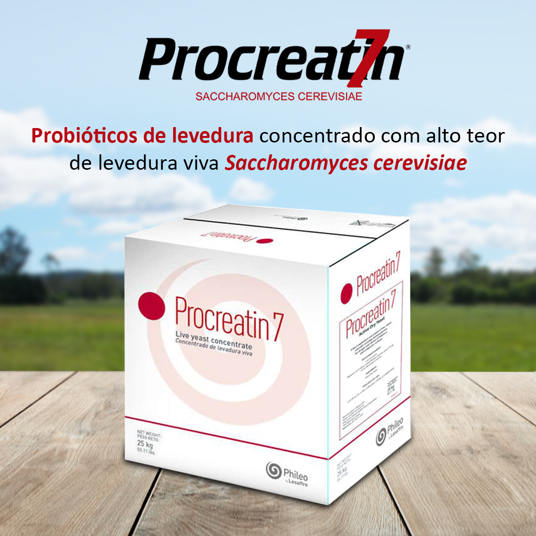 Procreatin 7 - Probióticos de levedura concentrado com alto teor de levedura viva Saccharomyces cerevisiae 3 Procreatin 7 - Probióticos de levedura concentrado com alto teor de levedura viva Saccharomyces cerevisiae - Imagem 3