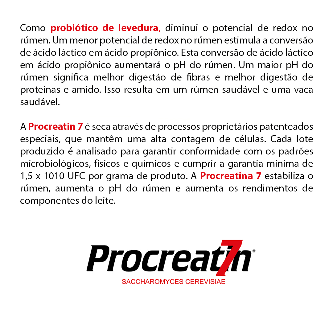 Procreatin 7 - Probióticos de levedura concentrado com alto teor de levedura viva Saccharomyces cerevisiae 5 Procreatin 7 - Probióticos de levedura concentrado com alto teor de levedura viva Saccharomyces cerevisiae - Imagem 5
