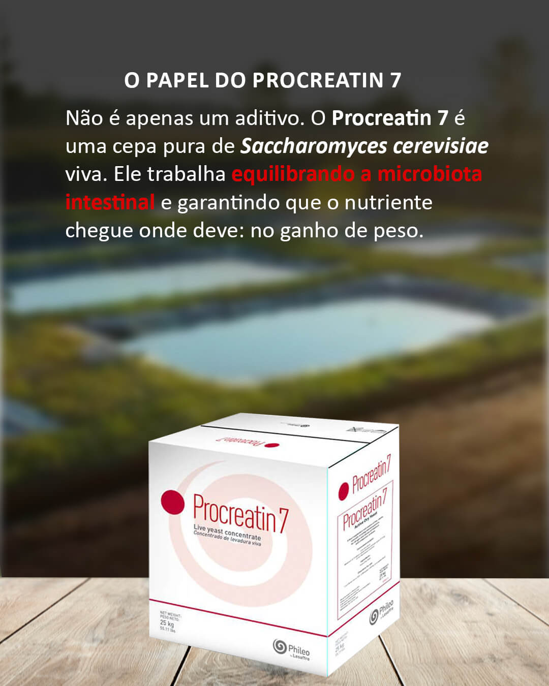 Procreatin 7 - Probióticos de levedura concentrado com alto teor de levedura viva Saccharomyces cerevisiae 8 Procreatin 7 - Probióticos de levedura concentrado com alto teor de levedura viva Saccharomyces cerevisiae - Imagem 8
