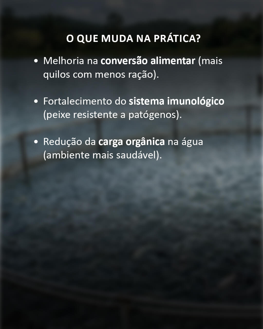 Procreatin 7 - Probióticos de levedura concentrado com alto teor de levedura viva Saccharomyces cerevisiae 9 Procreatin 7 - Probióticos de levedura concentrado com alto teor de levedura viva Saccharomyces cerevisiae - Imagem 9