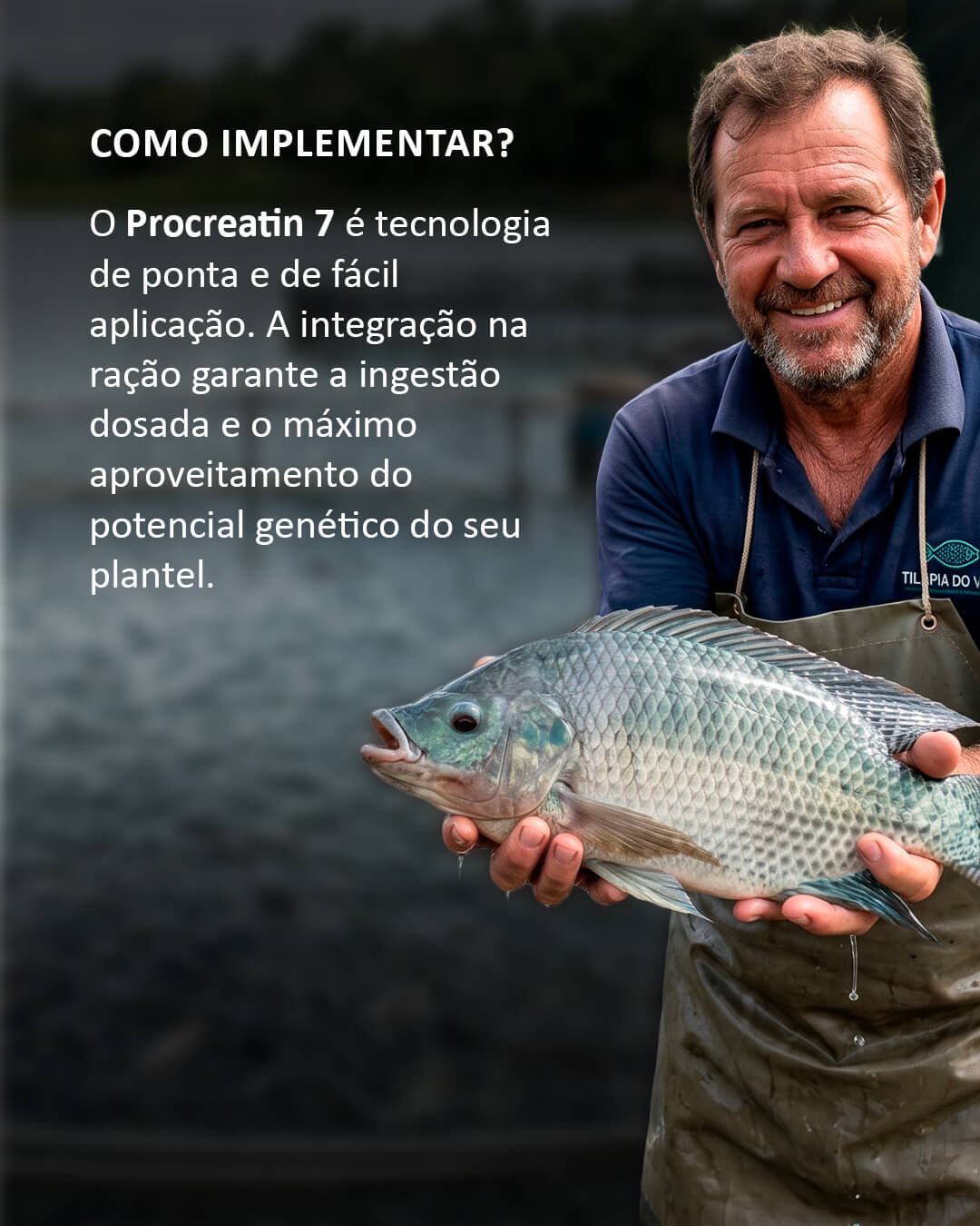 Procreatin 7 - Probióticos de levedura concentrado com alto teor de levedura viva Saccharomyces cerevisiae 10 Procreatin 7 - Probióticos de levedura concentrado com alto teor de levedura viva Saccharomyces cerevisiae - Imagem 10
